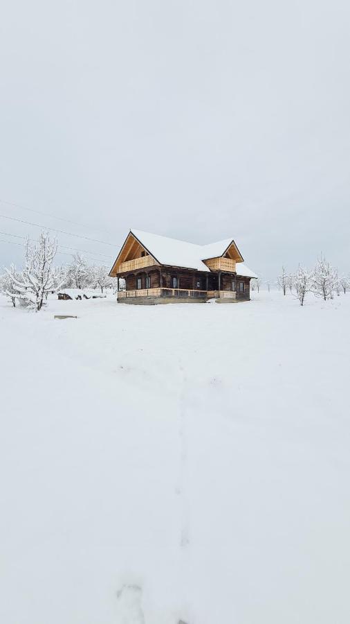 Casa Bunicilor Din Oncesti Vila Exterior foto