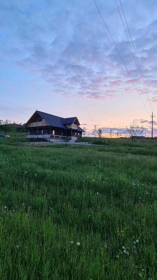 Casa Bunicilor Din Oncesti Vila Exterior foto