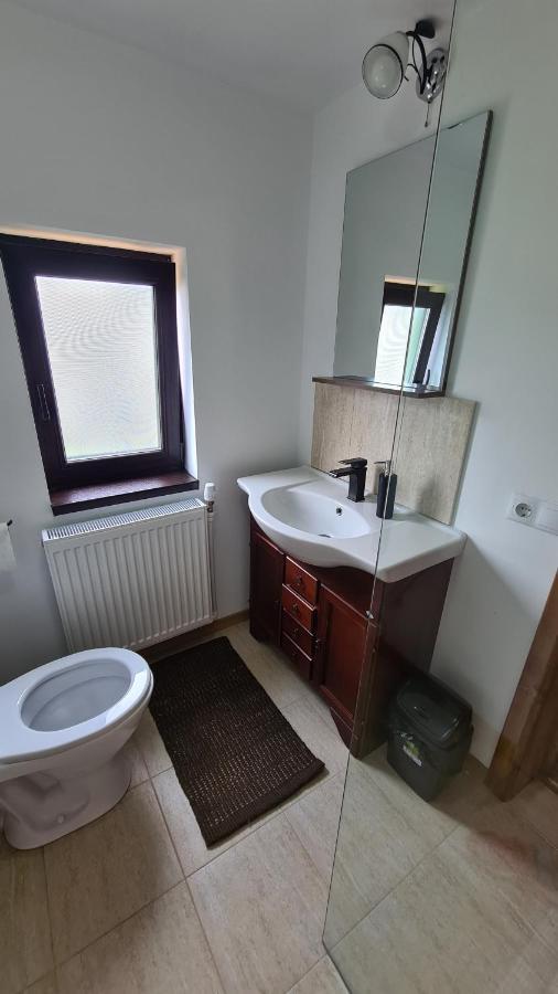Casa Bunicilor Din Oncesti Vila Exterior foto