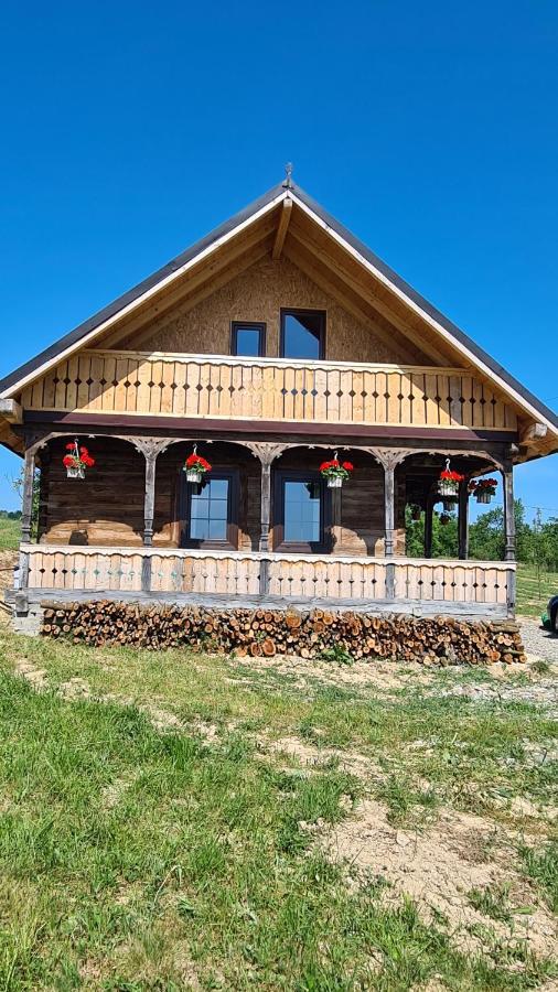 Casa Bunicilor Din Oncesti Vila Exterior foto