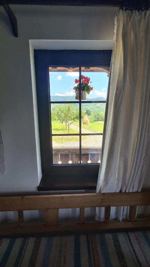 Casa Bunicilor Din Oncesti Vila Exterior foto