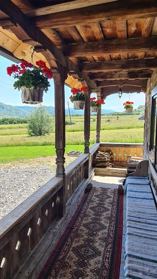 Casa Bunicilor Din Oncesti Vila Exterior foto